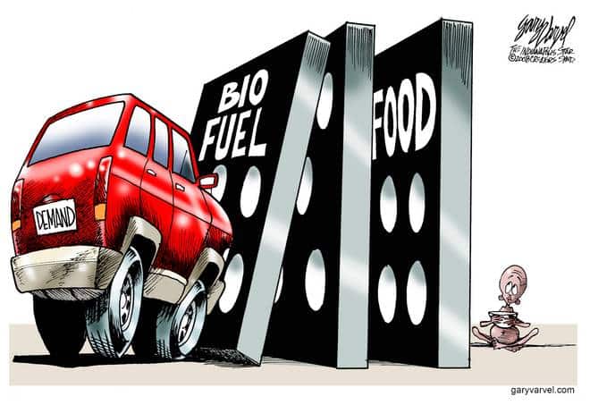 Editorial Cartoons by Gary Varvel – gv20080502cd – 02 May 2008