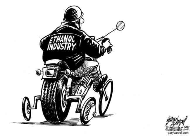 Editorial Cartoons by Gary Varvel - gv20080616cd - 16 June 2008 