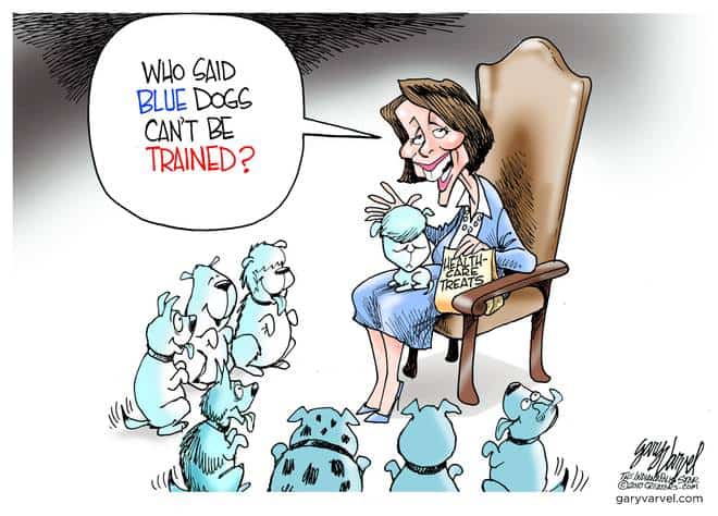 Editorial Cartoons by Gary Varvel – gv20100323cd – 23 March 2010
