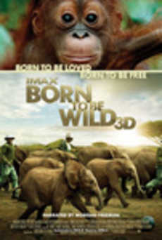 Born to Be Wild 3D – A Short Tale