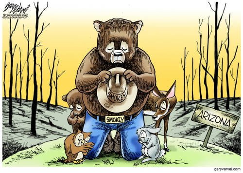 Smokey Mourns Missing Friends Who Gave Their All For Others
