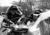Pakistani Hindu Refugee Girl Selects A Cooking Pot
