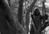 Pakistani Hindu Refugee Woman Near Trees