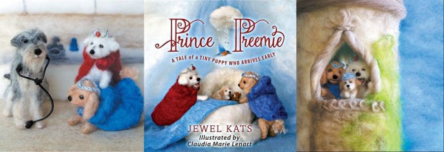 Prince Preemie – A Hopeful and Magical Tale of an Early Arrival
