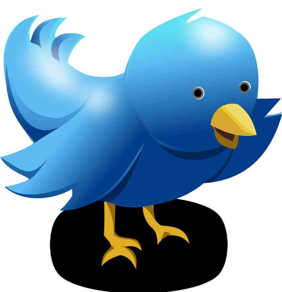 Are Bots Taking Over Twitter?