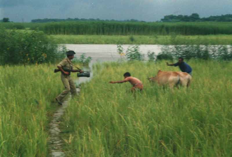 bsfi soldier catches two cattle smugglers.