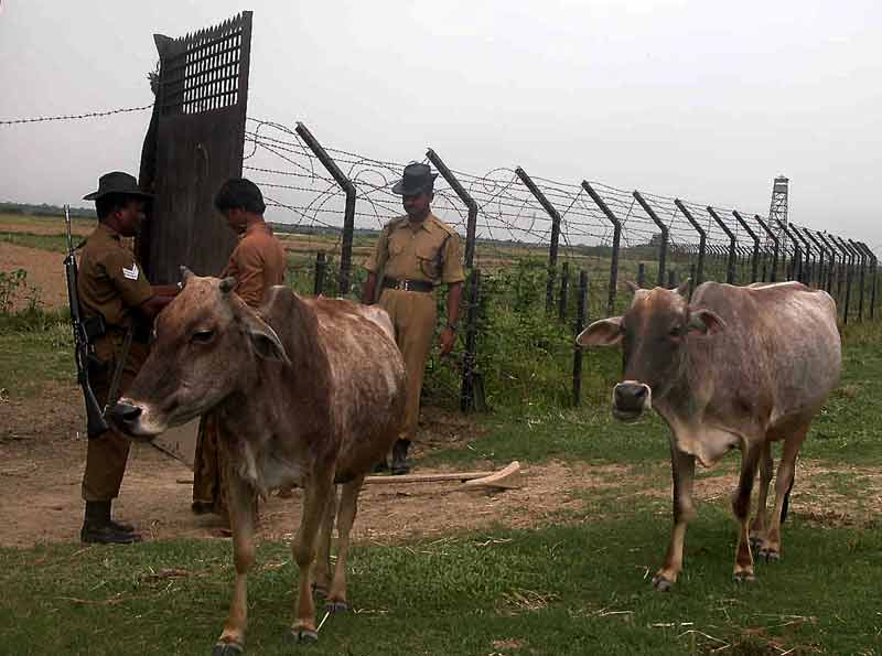 bsfi soldiers check farmer id.