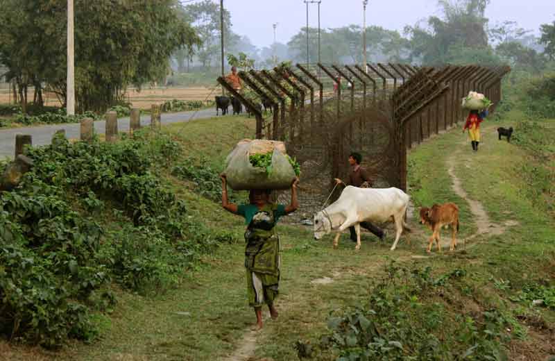 goods and cattle at porous border.