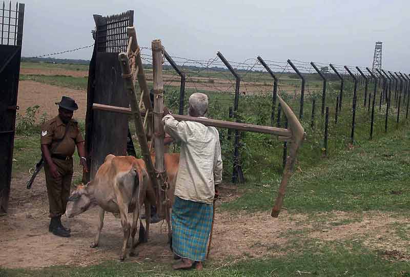 soldier checks cattle and farmer at no mans land entry.