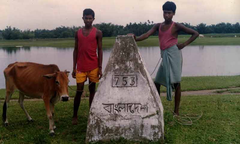 suspected bangladeshi cattle smugglers near international border pillar.