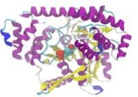 protein structure calculated