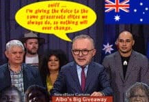 Aboriginal Voice Hands Power To Aboriginal Elites, Damages Constitution aboriginal voice more jobs for elites. NewsBlaze Cartoon.