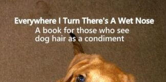 Puppy Mills and Pet Stores