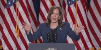 Kamala Harris in Wisconsin. video screenshot.