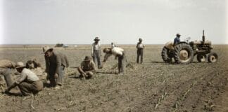 Image of people working on dry, dust bowl type farm created by Google Gemini Advanced