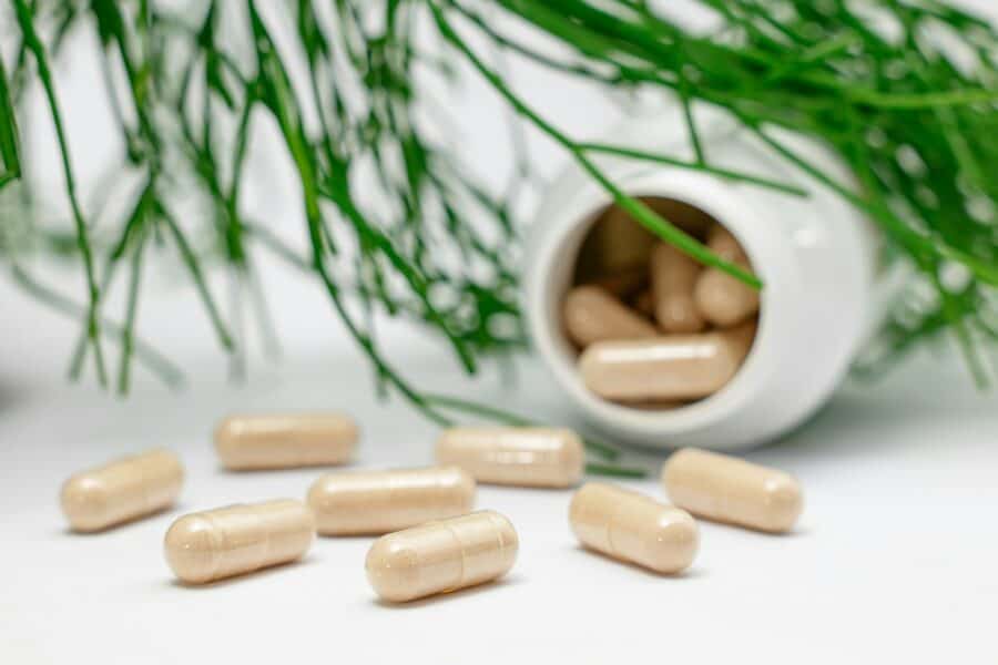 supplement