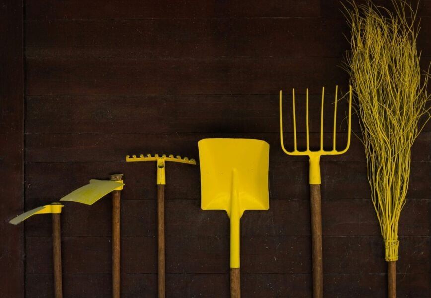 What to Look for When Buying Gardening Tools Online: Your Complete Guide