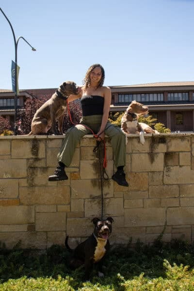 How Clients Built Lifestyle K9’s Reputation