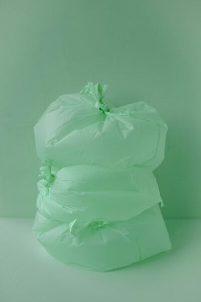 green bag