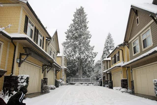 Snowy residential street with yellow houses and tall trees in winter.