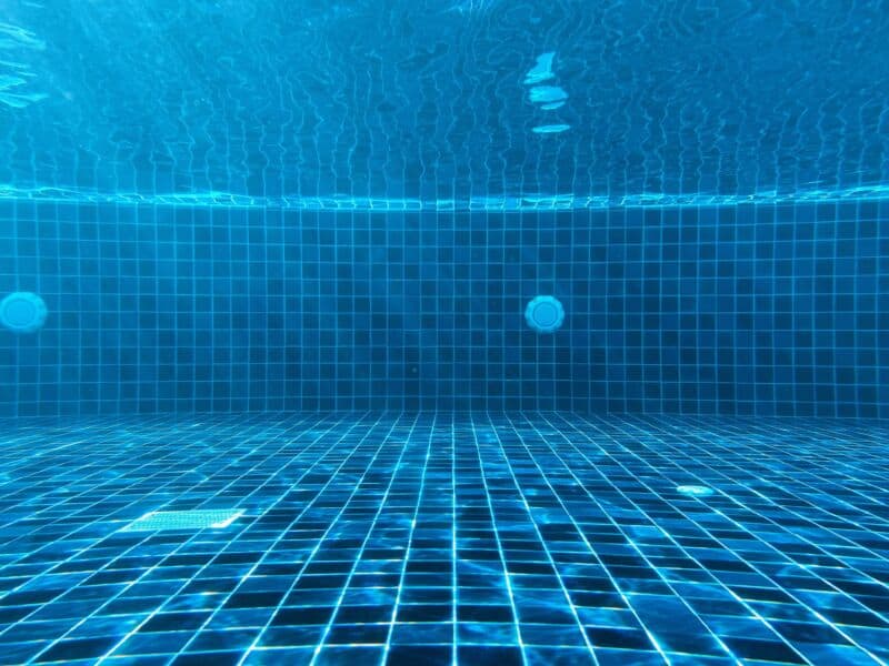 Why You Should Never Skip a Weekly Pool Brushing