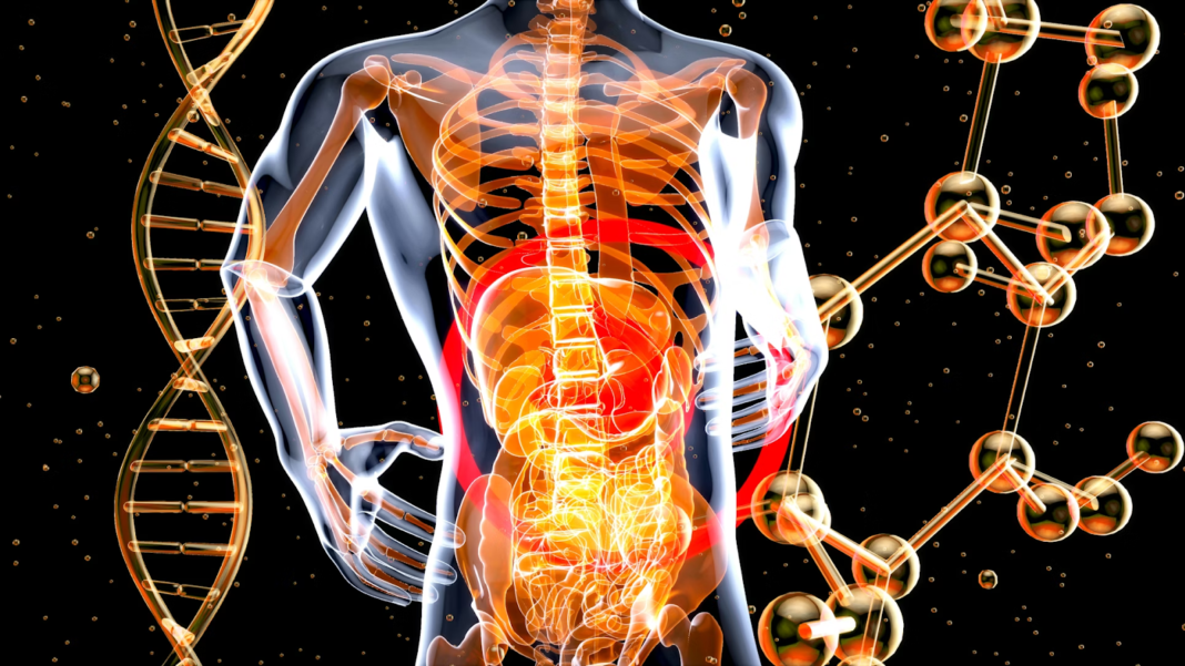 CurQD and the New Precision Frontier in Gut Health