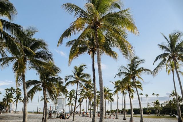 Why Having Your Own Transportation Can Transform a Miami Trip