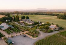 Everything You Need to Know Before You Visit Bricoleur Vineyards Bricoleur Vineyards