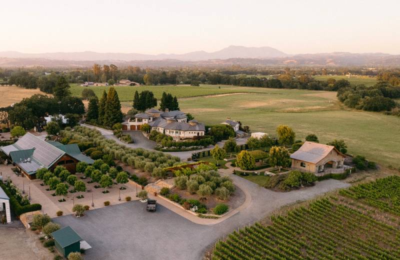 Everything You Need to Know Before You Visit Bricoleur Vineyards