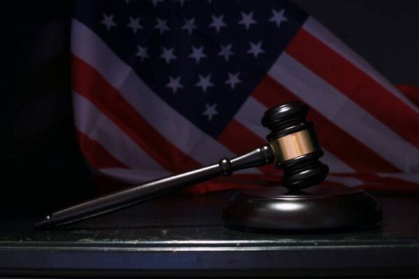 judge's gavel, appellate opinion, Image by Sergei Tokmakov, Esq. from Pixabay