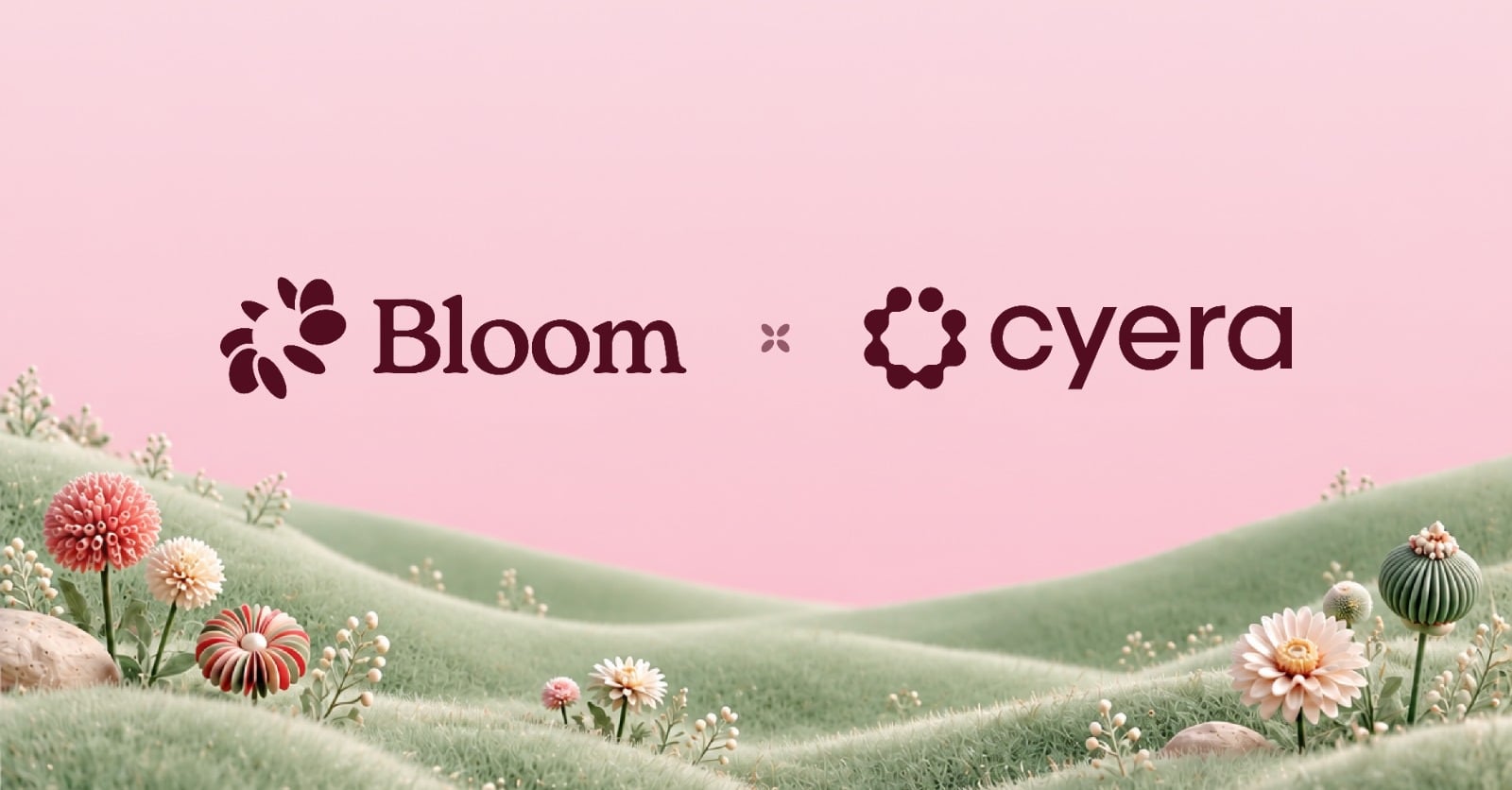 Bloom Security and Cyera collaboration