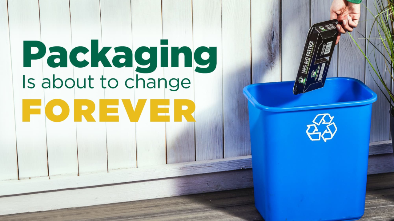 EU to ban non-recyclable packaging from its market by 2030