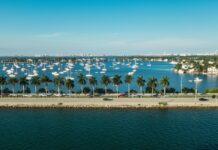 From Luxury Cars to Rush Hour: Staying Safe on Miami Roads Explore the unique risks Miami drivers face and how you can do your part to stay safe on these Floridian roads.